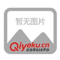 紐扣、磁鈕、金屬紐扣、服飾紐扣、牛仔褲鈕、走珠鈕